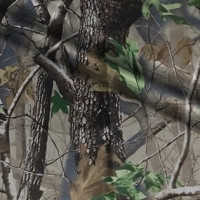 Ткань Оксфорд в Волгограде